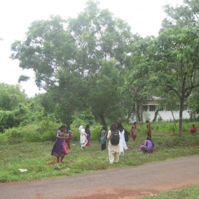 World Environment Day04