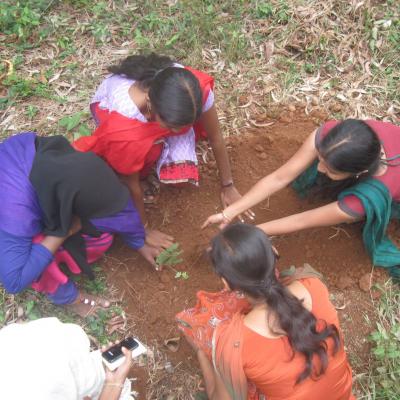 World Environment Day06