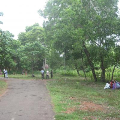 World Environment Day11