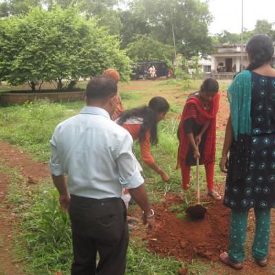 World Environment Day12