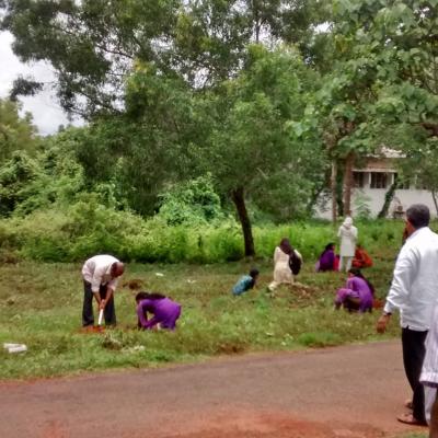 World Environment Day19